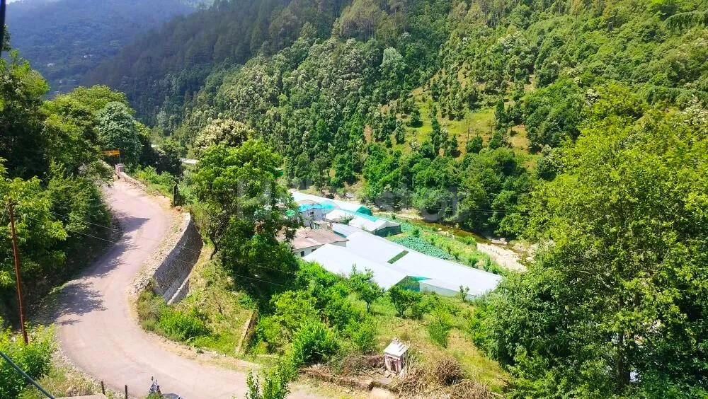 1,200 sq. yd. Residential Plot near Bhalugaad Waterfall in Padampuri, Bhimtal