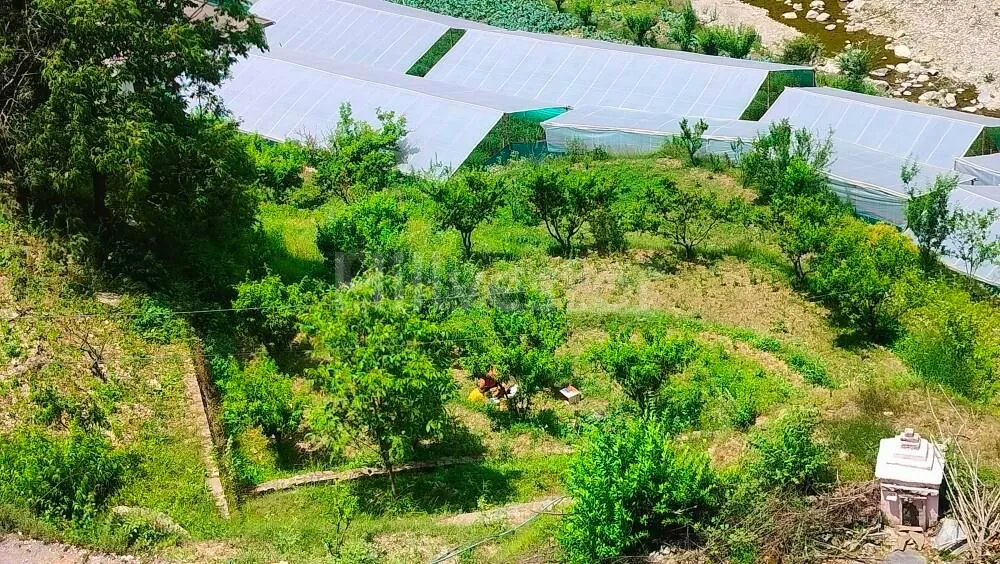 1,200 sq. yd. Residential Plot near Bhalugaad Waterfall in Padampuri, Bhimtal