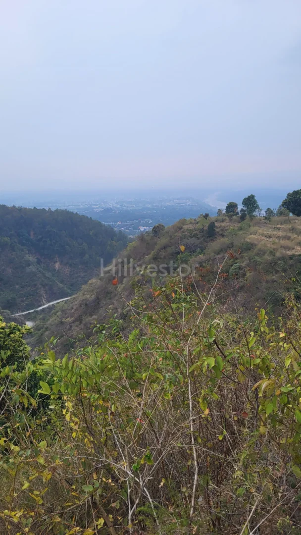 298 sq. yd. Residential Plot near Ranipokhari Chowk in Bhogpur, Rishikesh