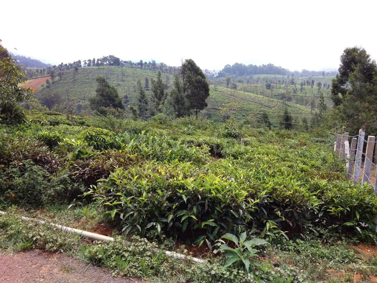 1,435 sq. yd. Residential Land near Coonoor Railway Station, Coonoor