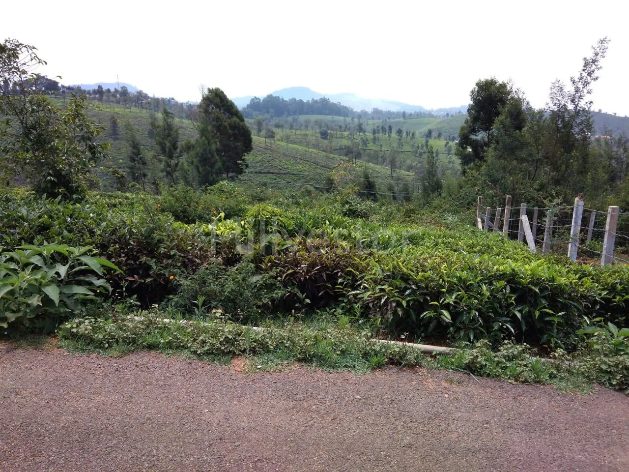 1,435 sq. yd. Residential Land near Coonoor Railway Station, Coonoor