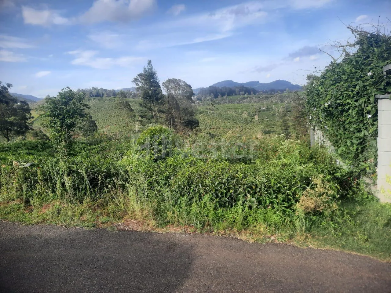 1,435 sq. yd. Residential Land near Coonoor Railway Station, Coonoor