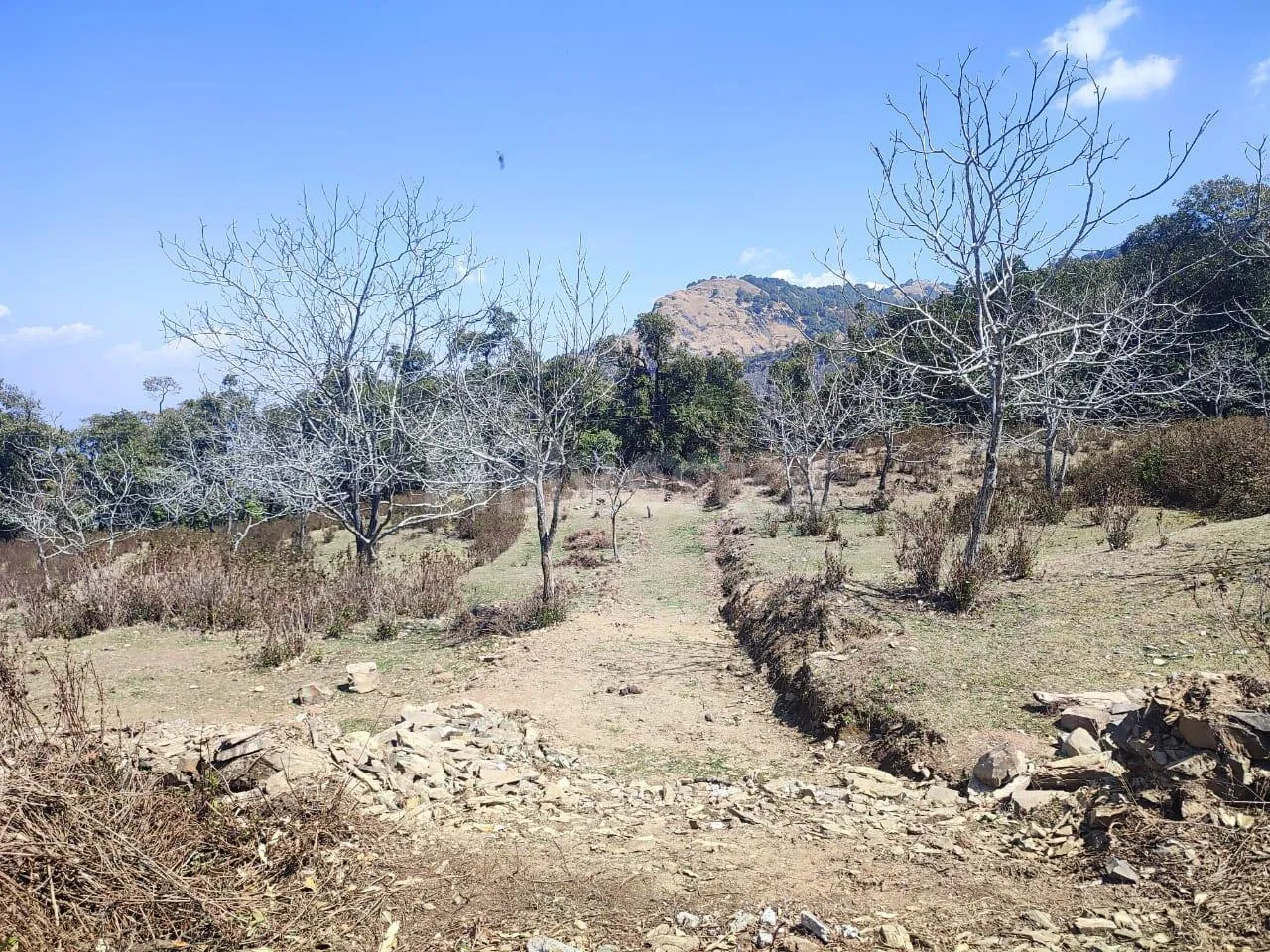 1,936 sq. yd. Residential Land near Hathipaon, Mussoorie