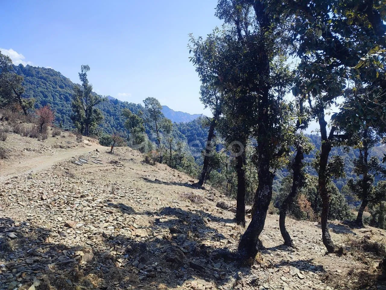 1,936 sq. yd. Residential Land near Hathipaon, Mussoorie