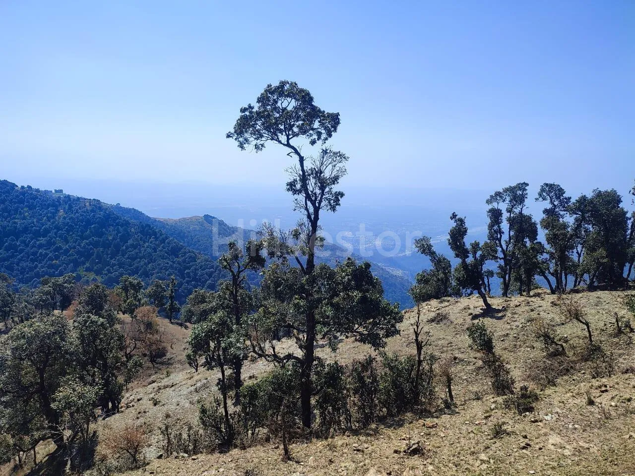 1,936 sq. yd. Residential Land near Hathipaon, Mussoorie