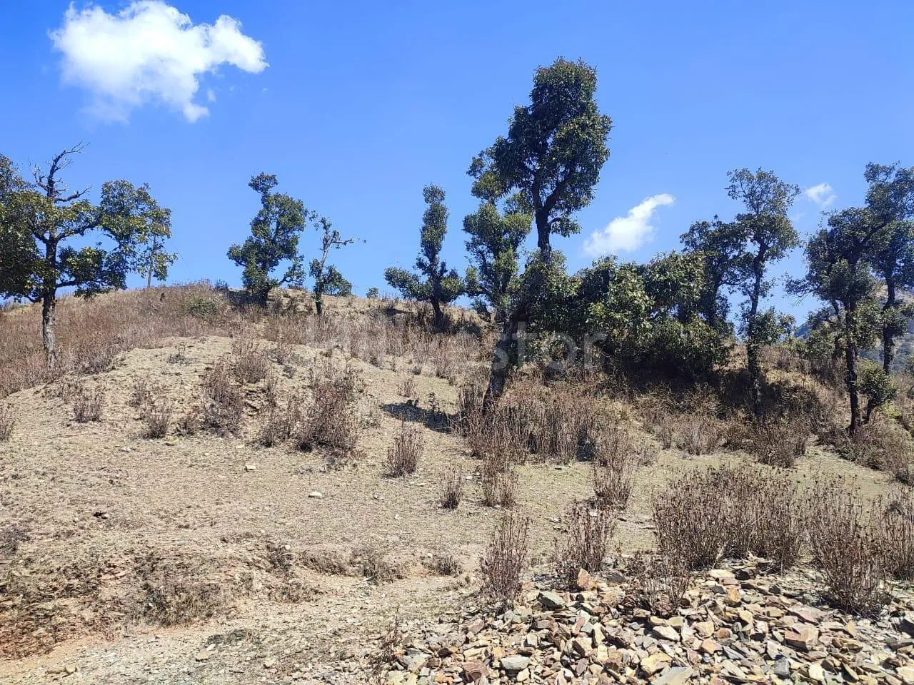 1,936 sq. yd. Residential Land near Hathipaon, Mussoorie