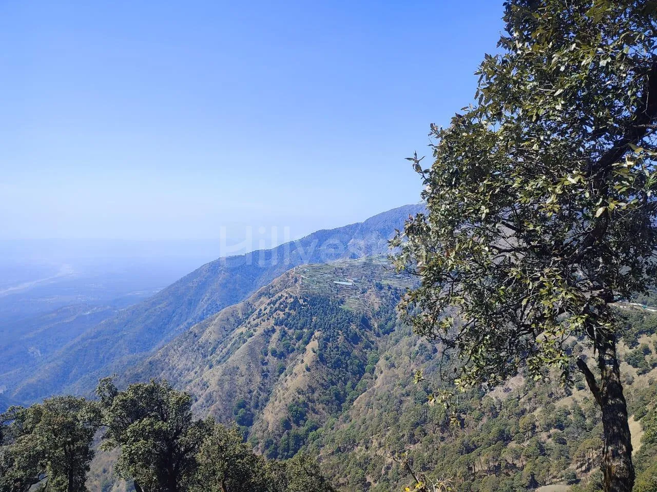 1,936 sq. yd. Residential Land near Hathipaon, Mussoorie