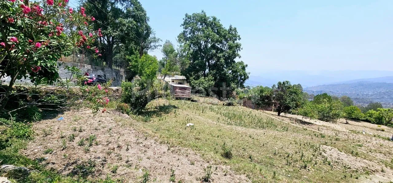 525 sq. yd. Residential Plot near Pantkotuli Road, Pant Kotuli, Ranikhet