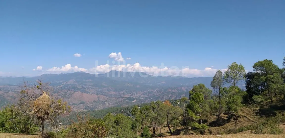 525 sq. yd. Residential Plot near Pantkotuli Road, Pant Kotuli, Ranikhet