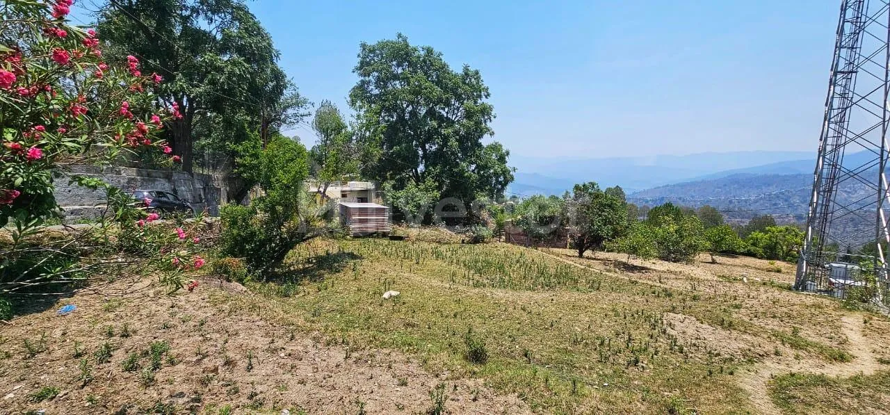 525 sq. yd. Residential Plot near Pantkotuli Road, Pant Kotuli, Ranikhet