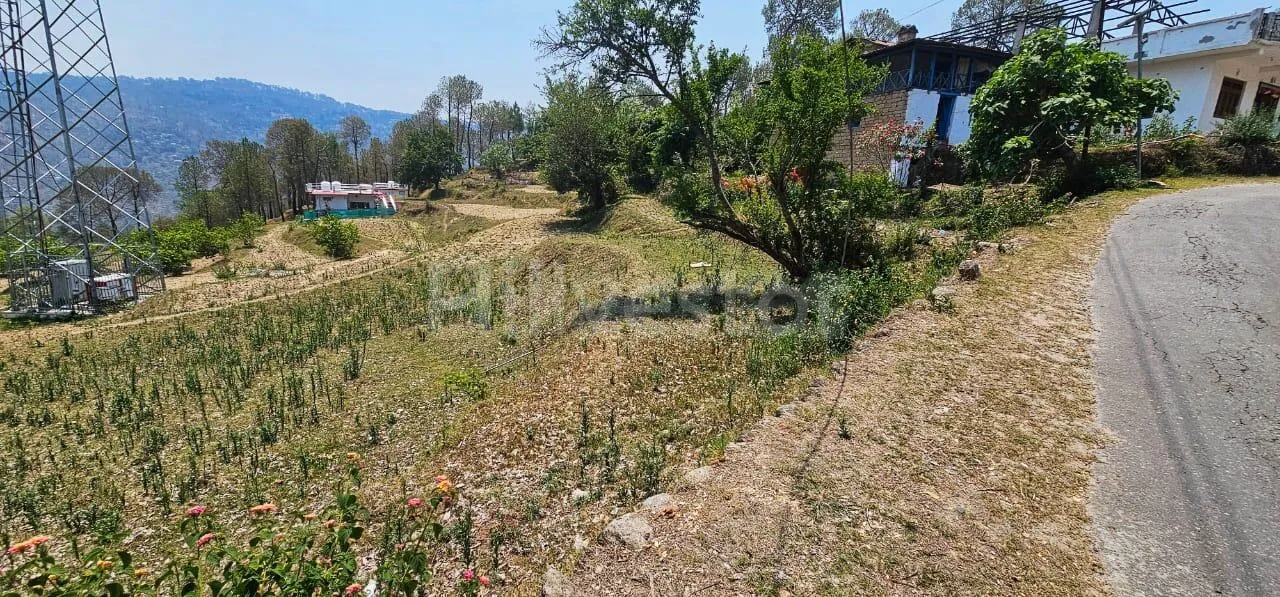 525 sq. yd. Residential Plot near Pantkotuli Road, Pant Kotuli, Ranikhet