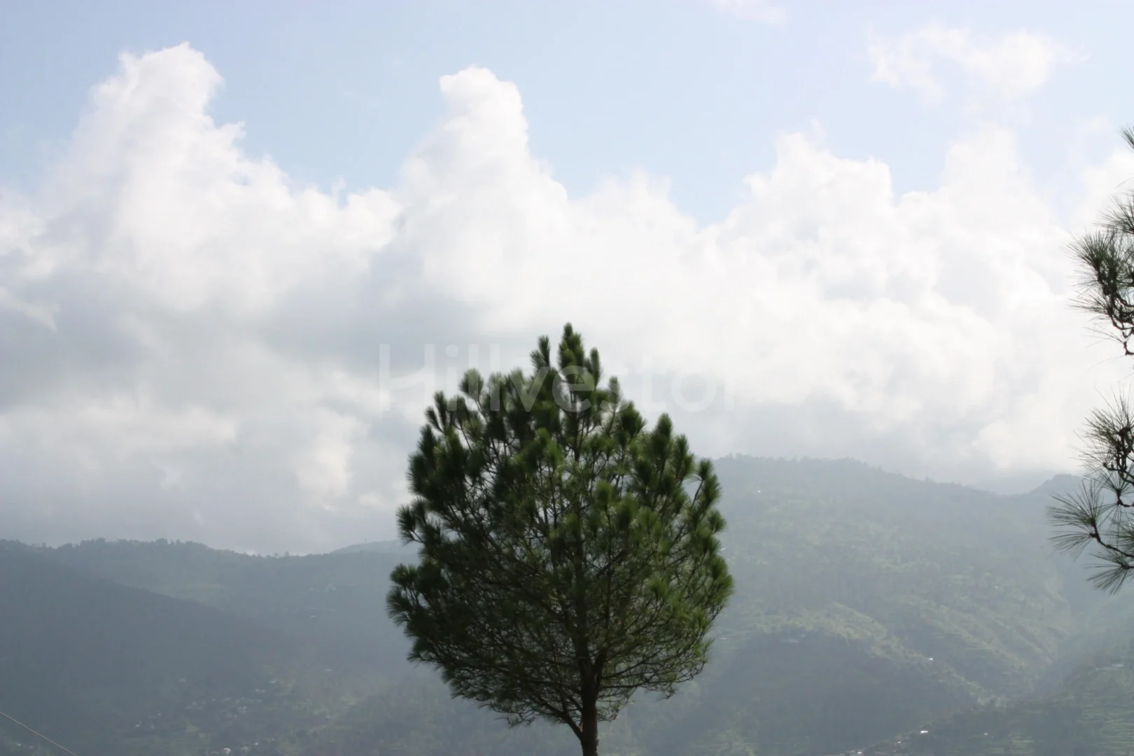 2,800 sq. yd. Residential Land near Army Golf Club in Majkhali, Ranikhet