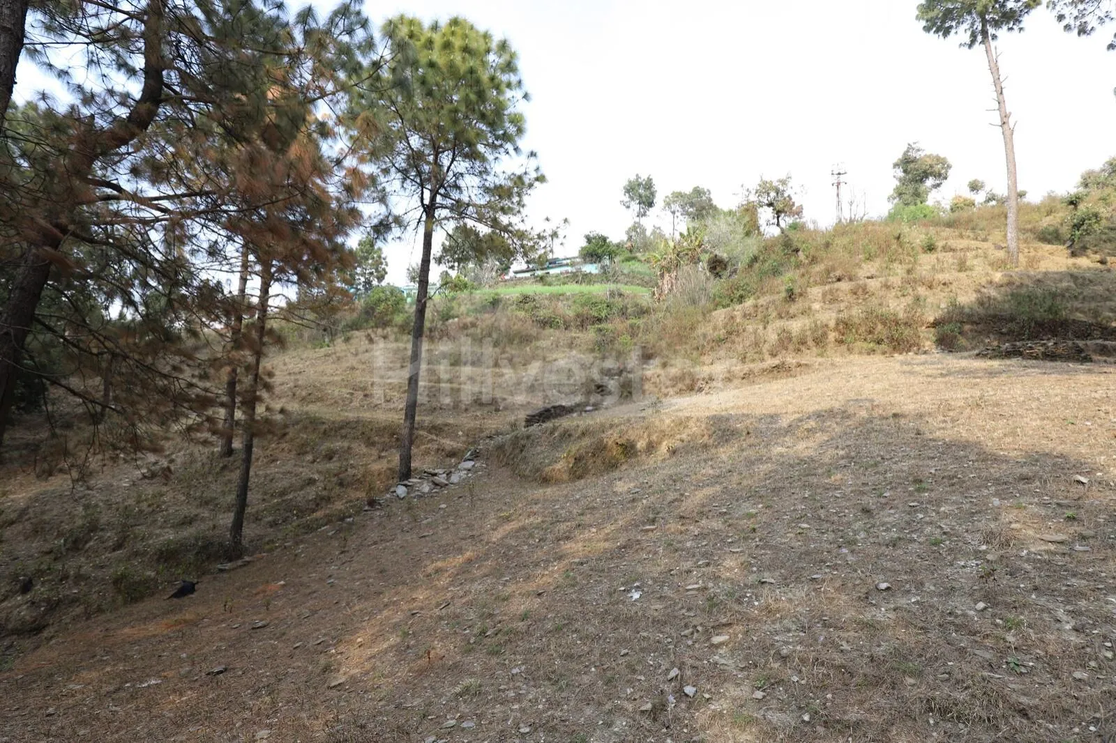 956 sq. yd. Residential Plot near NH 534 in Gumkhal, Lansdowne