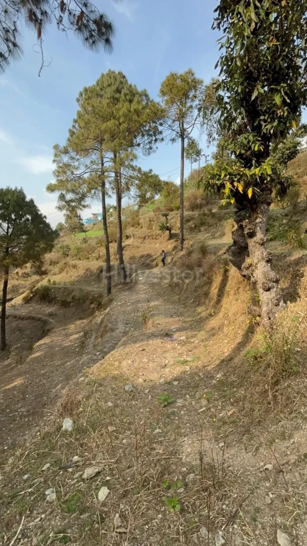 956 sq. yd. Residential Plot near NH 534 in Gumkhal, Lansdowne
