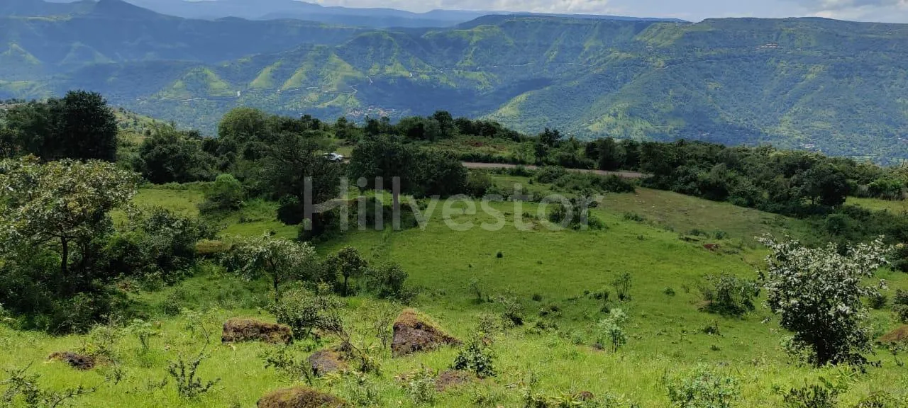 5,200 sq. yd. Commercial Land near Bhilar Village, Mahabaleshwar
