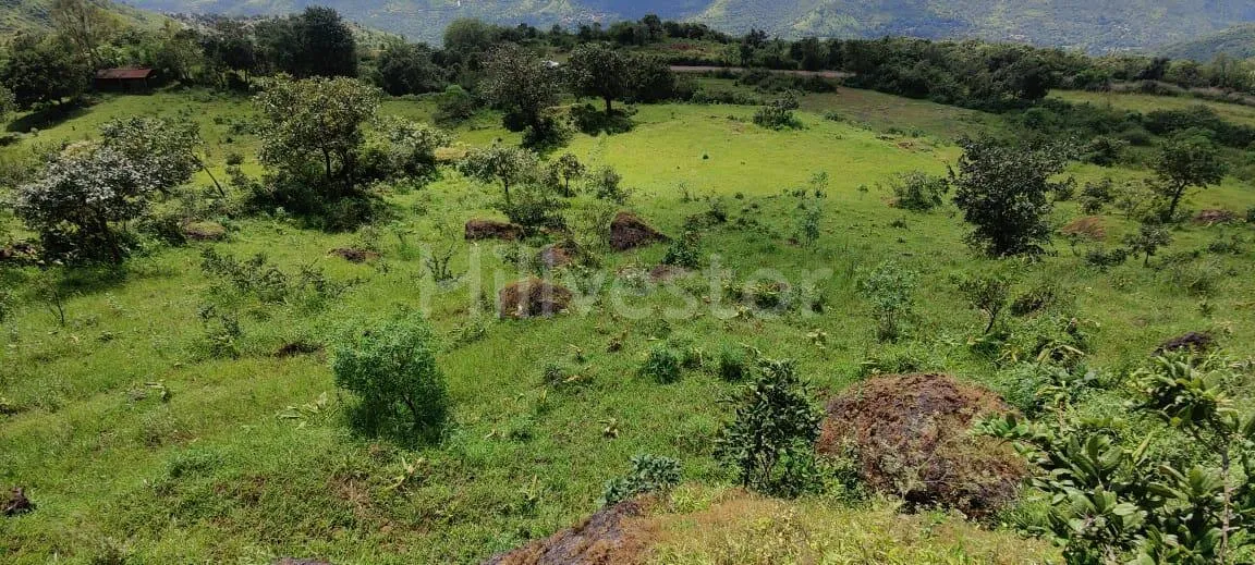 5,200 sq. yd. Commercial Land near Bhilar Village, Mahabaleshwar