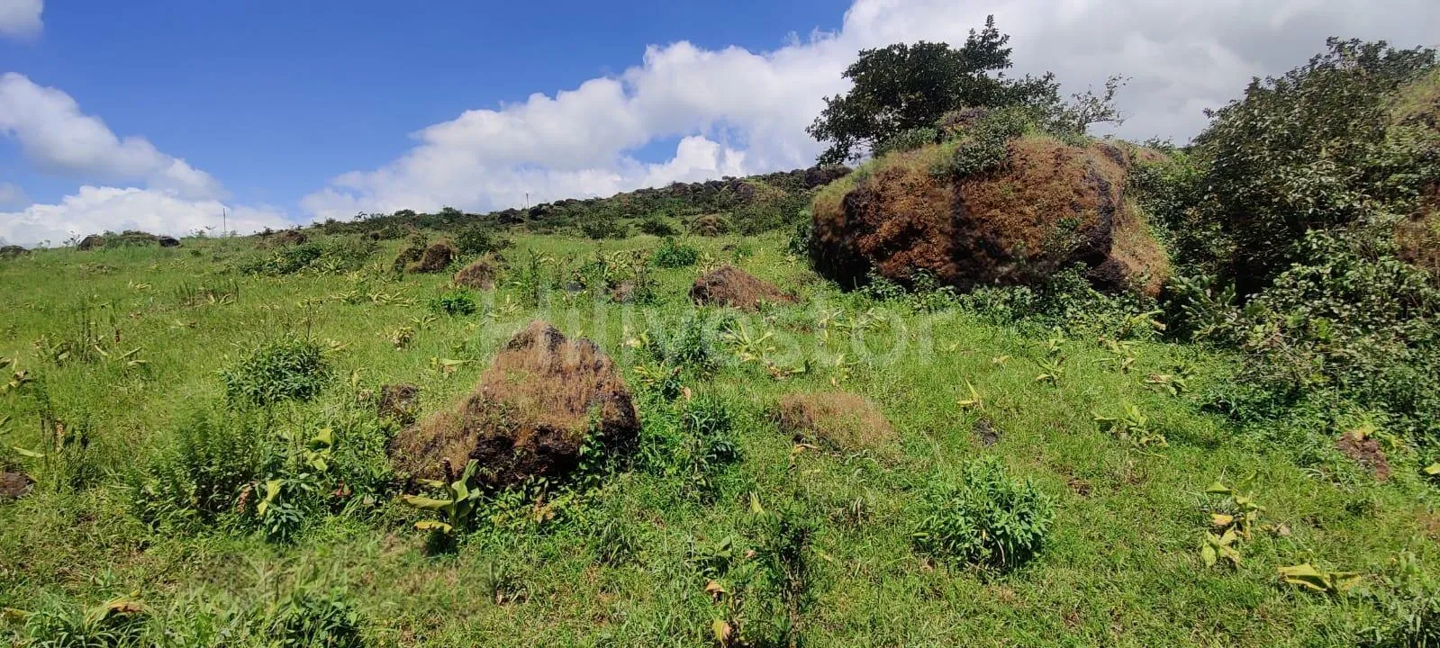 5,200 sq. yd. Commercial Land near Bhilar Village, Mahabaleshwar