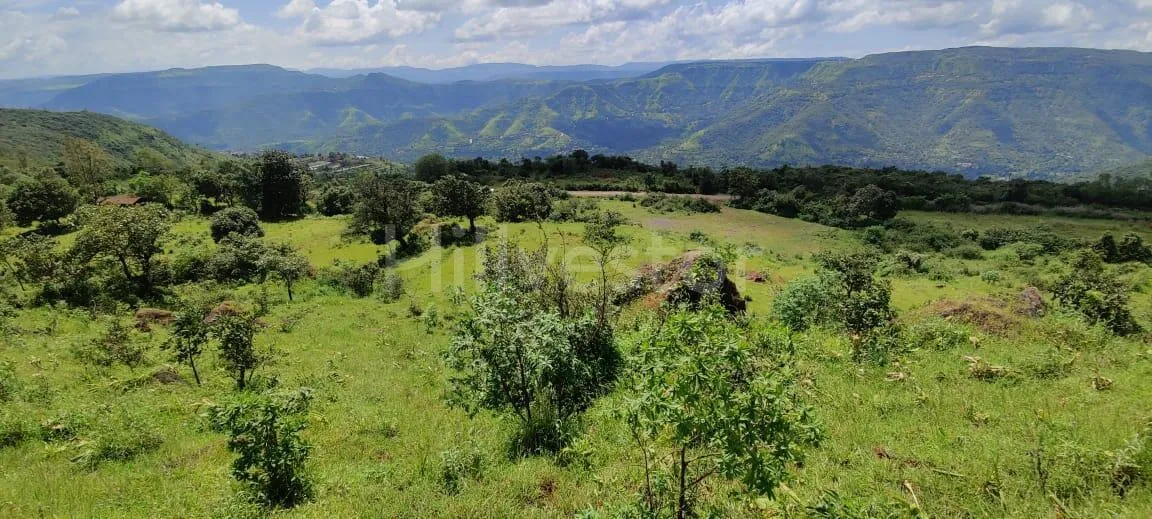 5,200 sq. yd. Commercial Land near Bhilar Village, Mahabaleshwar