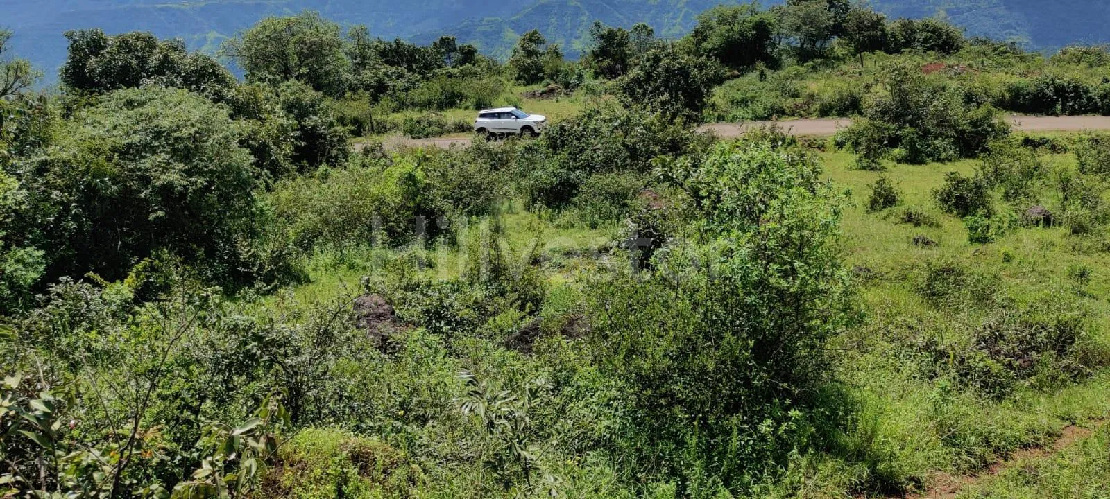 5,200 sq. yd. Commercial Land near Bhilar Village, Mahabaleshwar