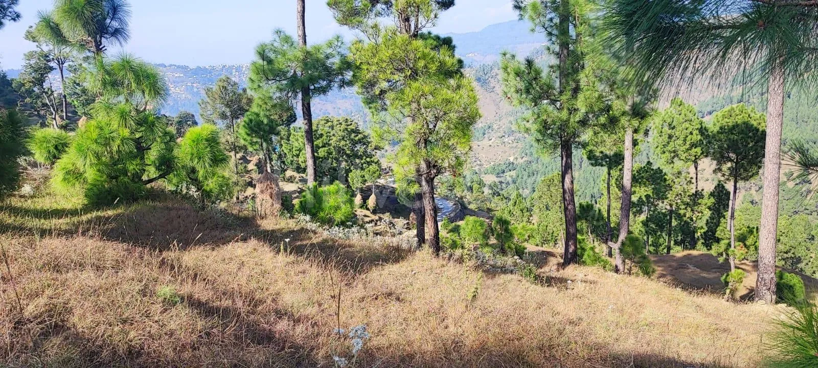 240 sq. yd. Residential Plot near Mahavatar Babaji’s Cave, Kukuchina, Dunagiri