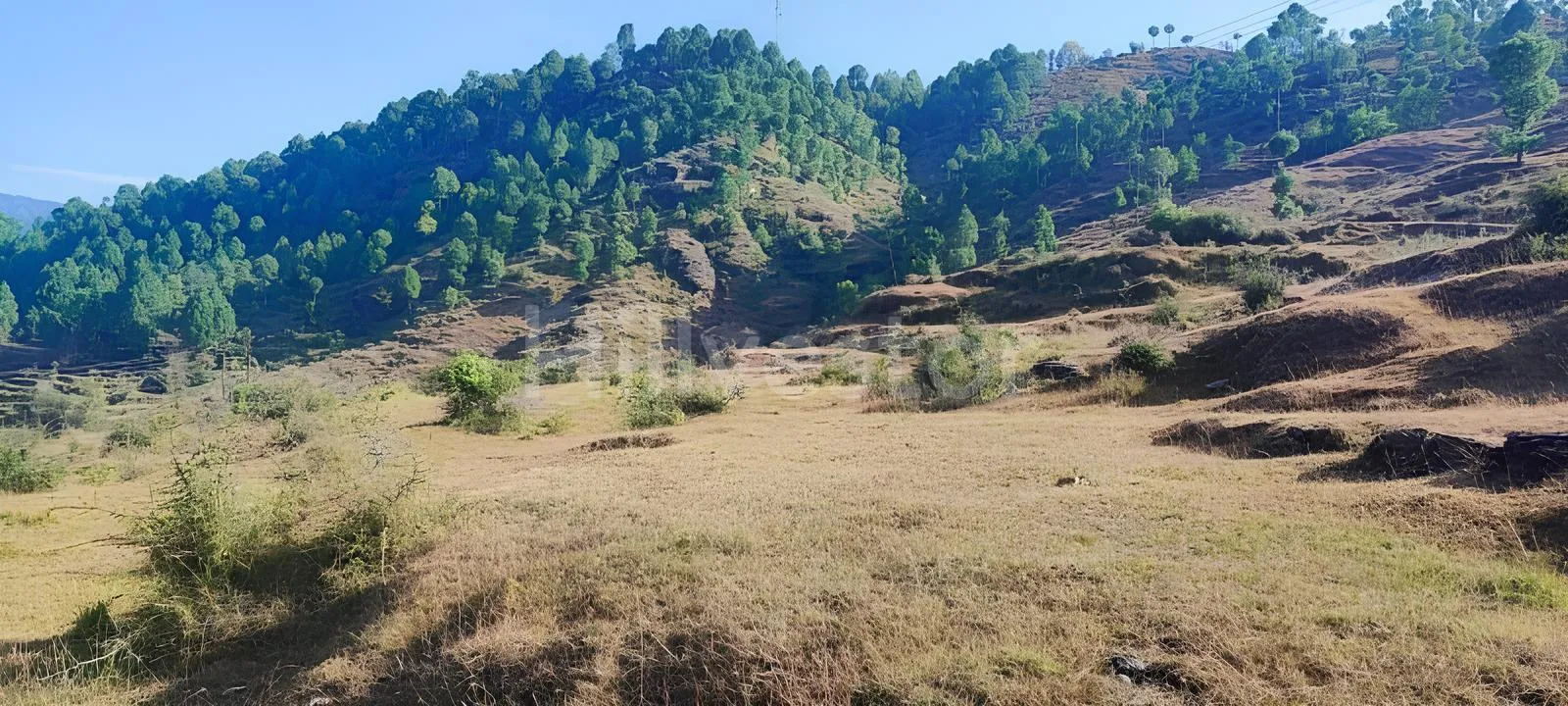 240 sq. yd. Residential Plot near Mahavatar Babaji’s Cave, Kukuchina, Dunagiri