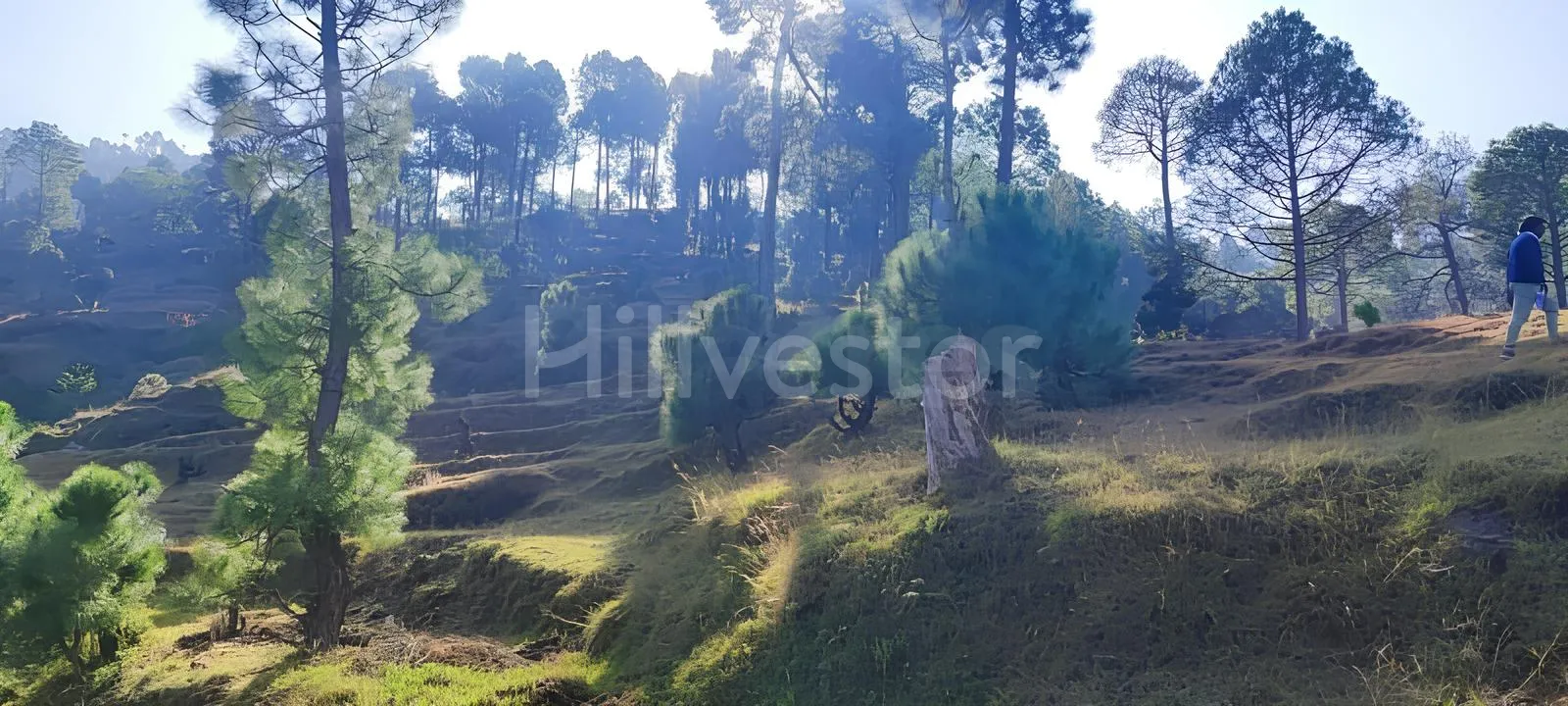 240 sq. yd. Residential Plot near Mahavatar Babaji’s Cave, Kukuchina, Dunagiri