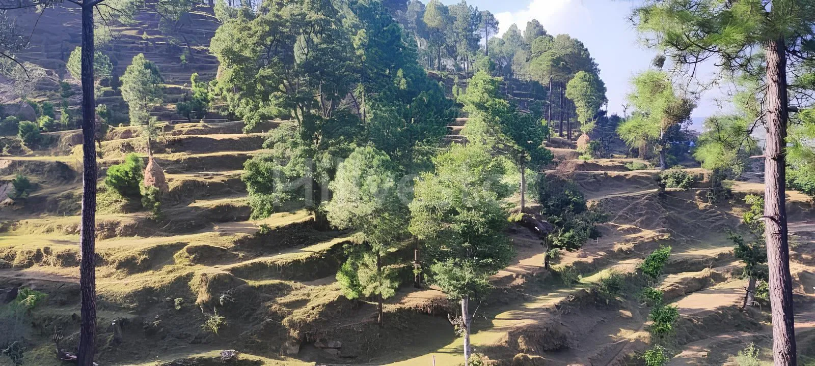 240 sq. yd. Residential Plot near Mahavatar Babaji’s Cave, Kukuchina, Dunagiri