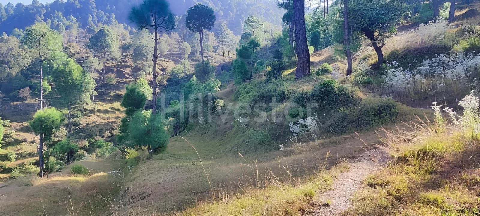 240 sq. yd. Residential Plot near Mahavatar Babaji’s Cave, Kukuchina, Dunagiri