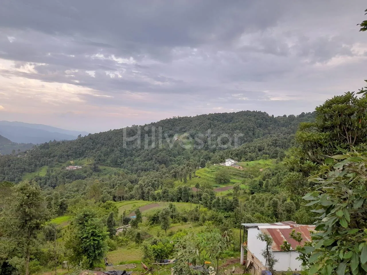 240 sq. yd. Residential Plot near Mahavatar Babaji’s Cave, Kukuchina, Dunagiri