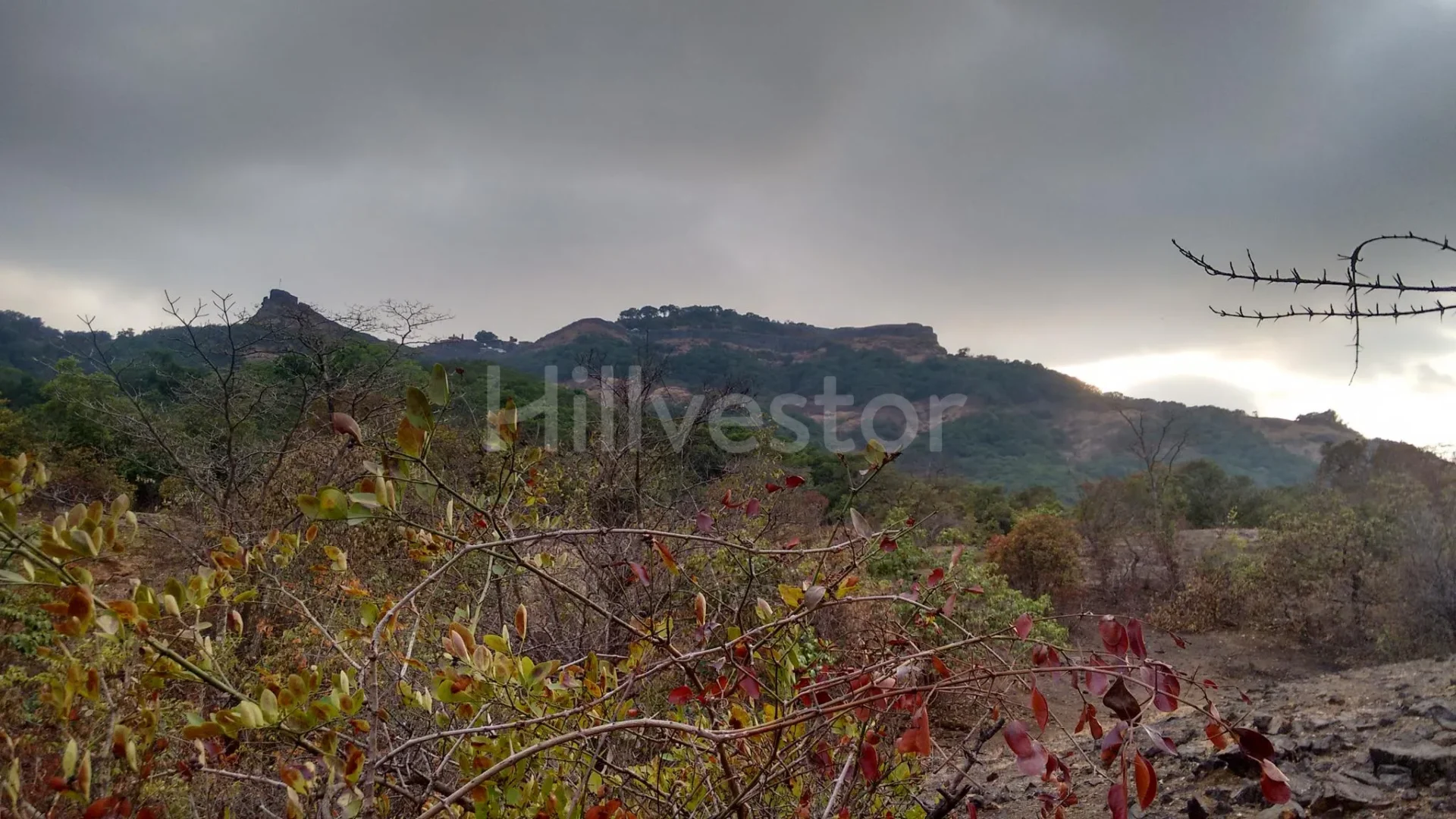 3,025 sq. yd. Residential Land near Pratapgad Fort, Pratapgad, Mahabaleshwar