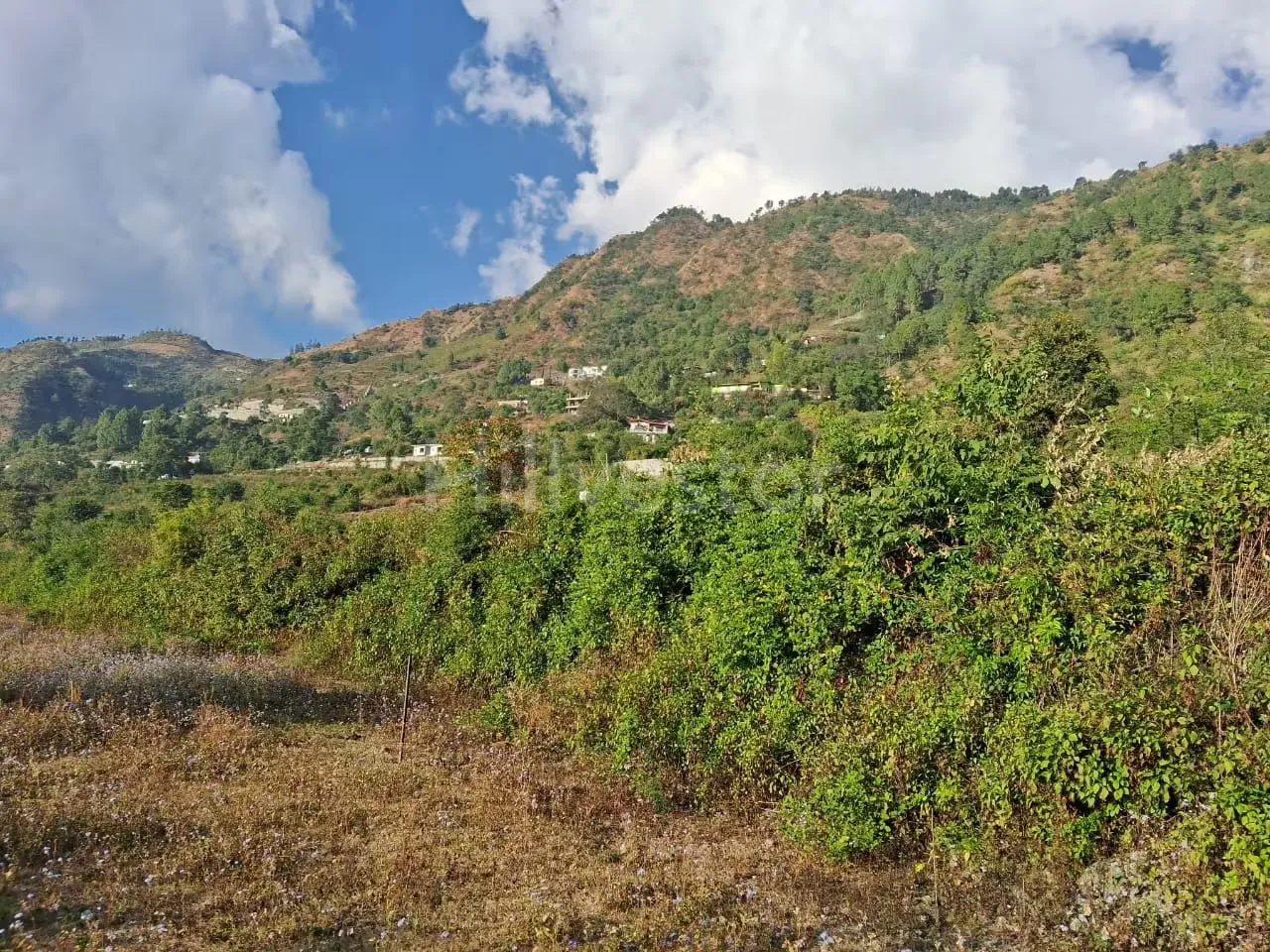 480 sq. yd. Residential Plot near Hanuman Mandir in Naukuchiatal