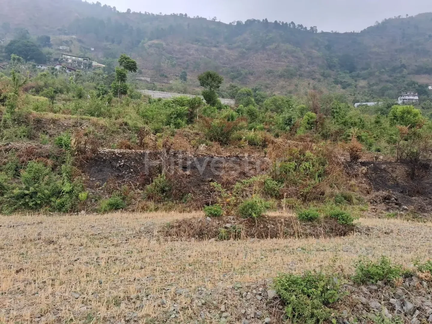 720 sq. yd. Residential Plot near Bhimtal Lake in Bhimtal