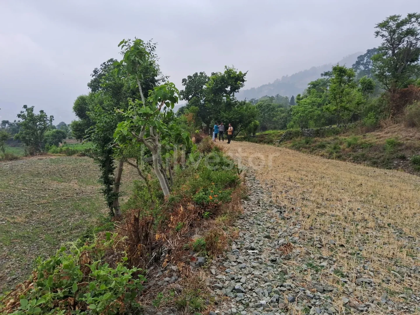 720 sq. yd. Residential Plot near Bhimtal Lake in Bhimtal