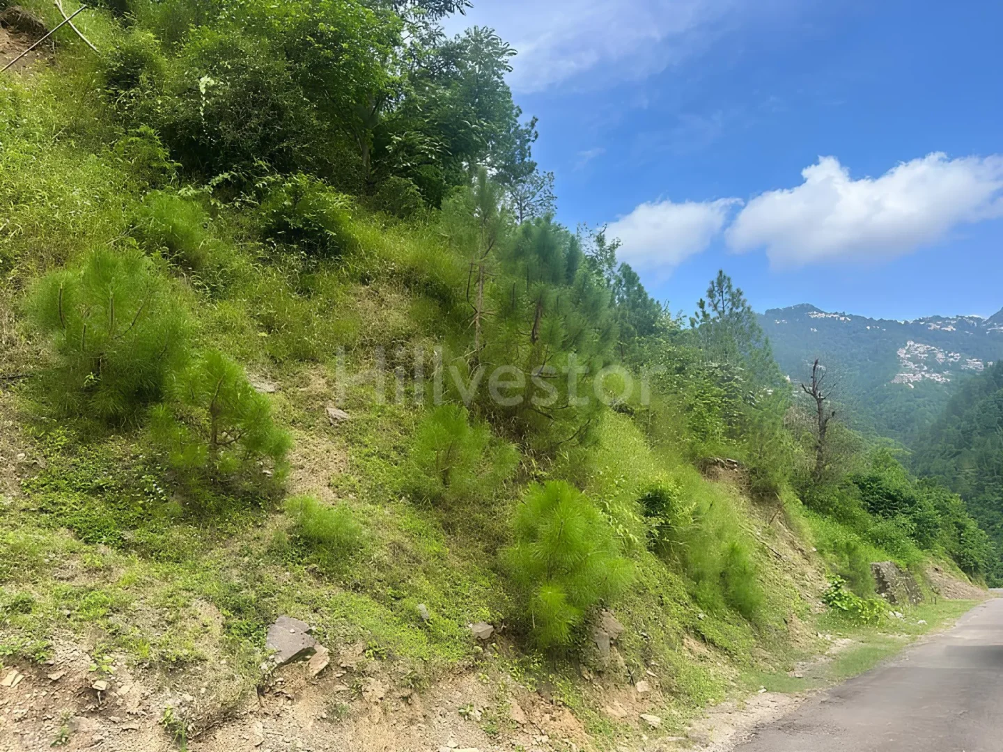 1,936 sq. yd. Residential Land in Lower Bhont, Bhont Village, Shimla
