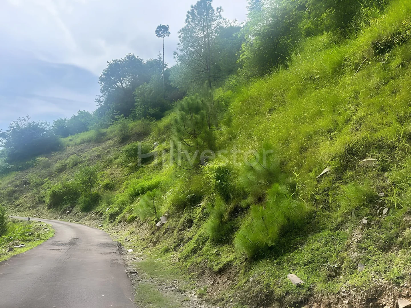 1,936 sq. yd. Residential Land in Lower Bhont, Bhont Village, Shimla