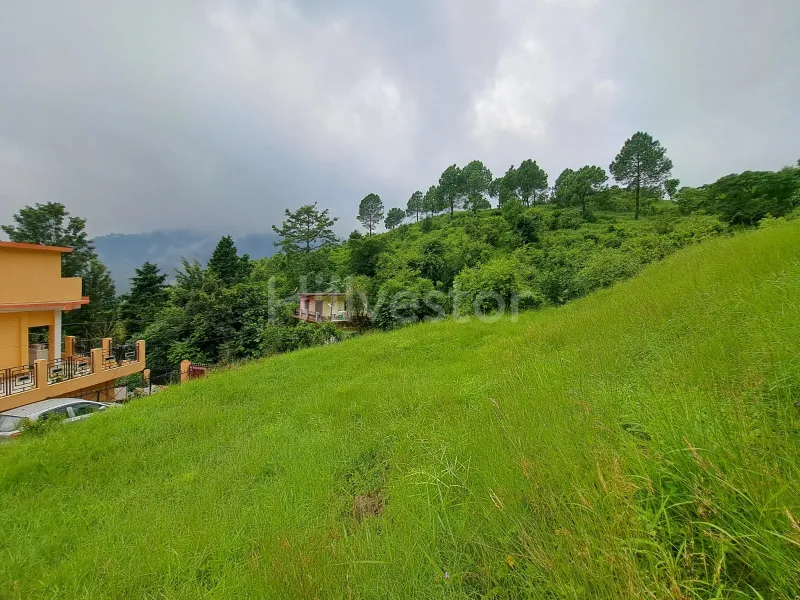 300 sq. yd. Residential Plot near Sanguri Gaon, Bhimtal