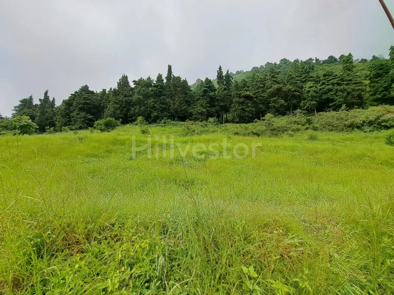300 sq. yd. Residential Plot near Sanguri Gaon, Bhimtal
