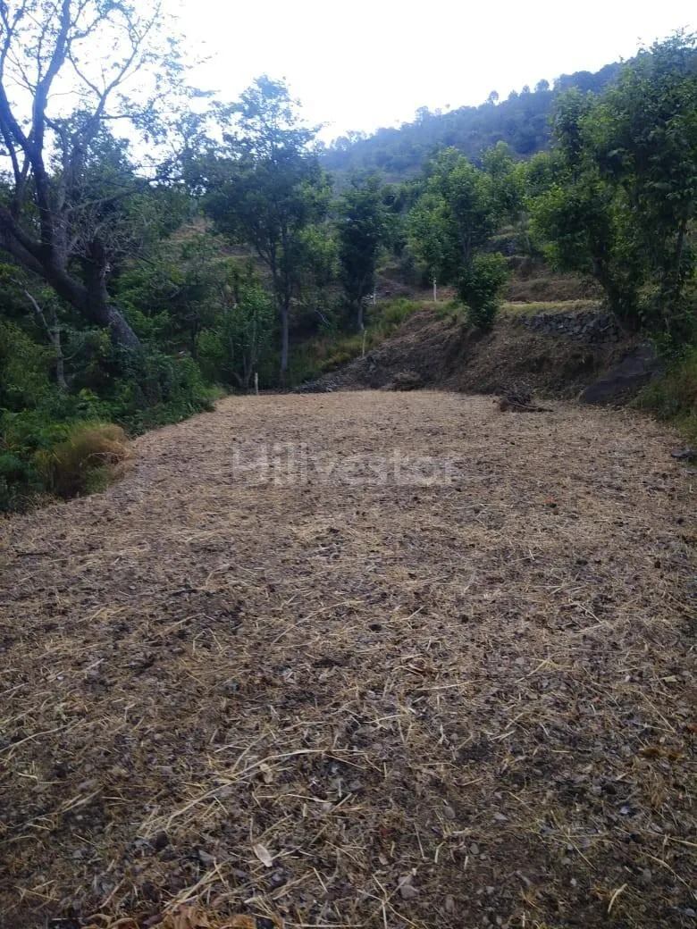 678 sq. yd. Residential Plot near Mandhiana Nichla, Kasauli