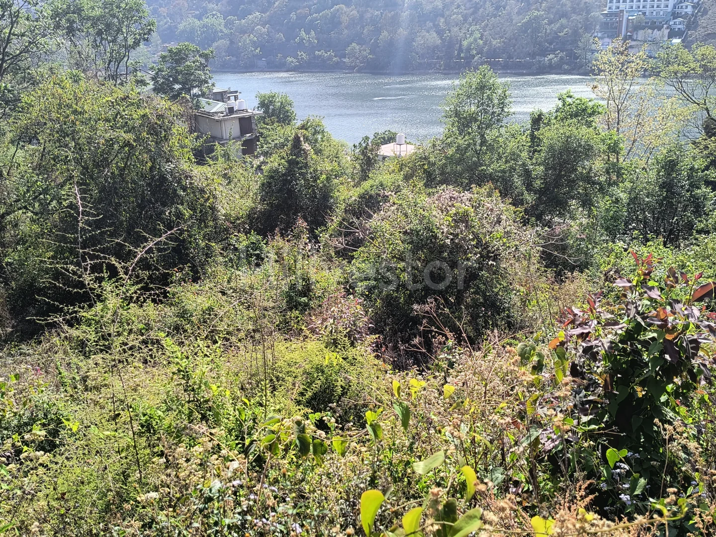 13,200 sq. yd. Residential Land adjacent to Bhimtal Lake in Bhimtal