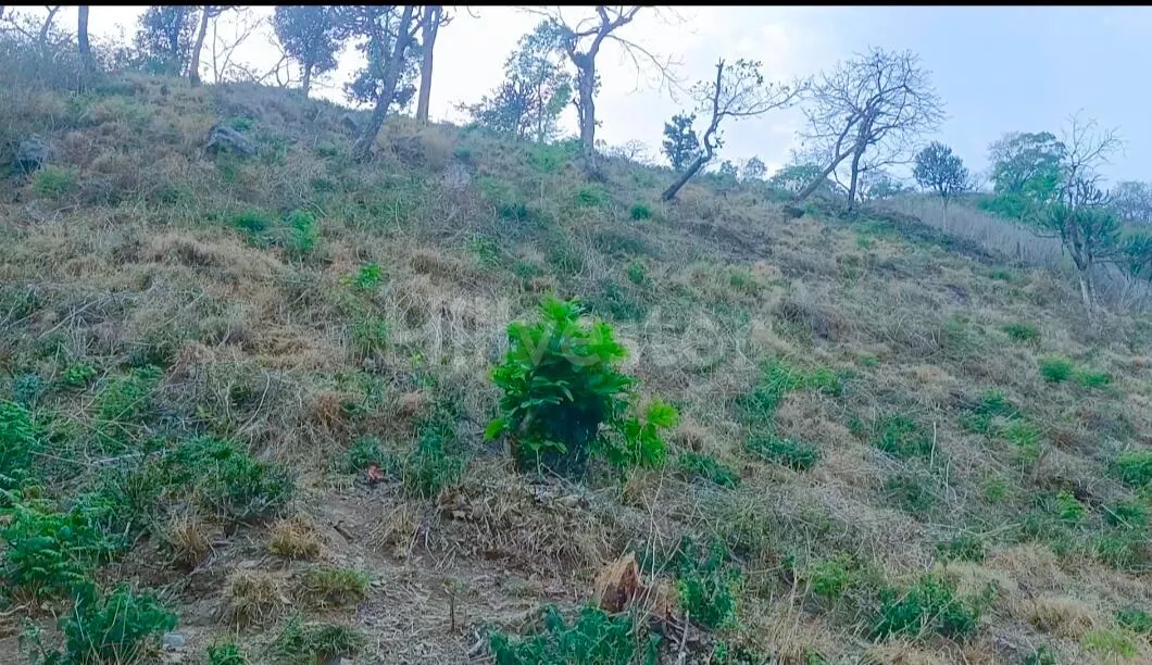 1,167 sq. yd. Residential Land opposite Bhimtal Lake, Bhimtal