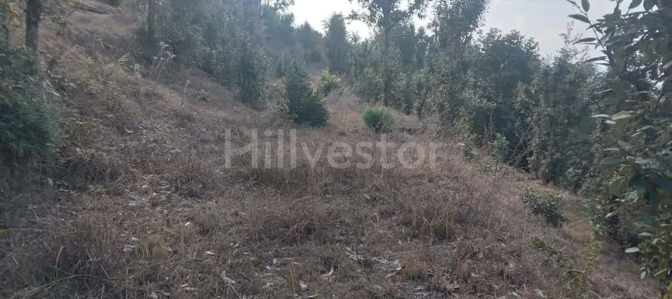 1,200 sq. yd. Residential Land near Seetla, Mukteshwar