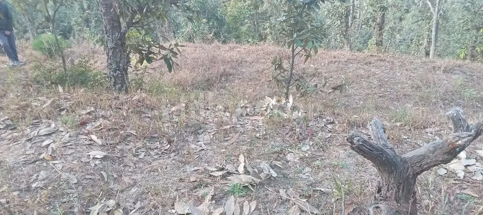 1,200 sq. yd. Residential Land near Seetla, Mukteshwar