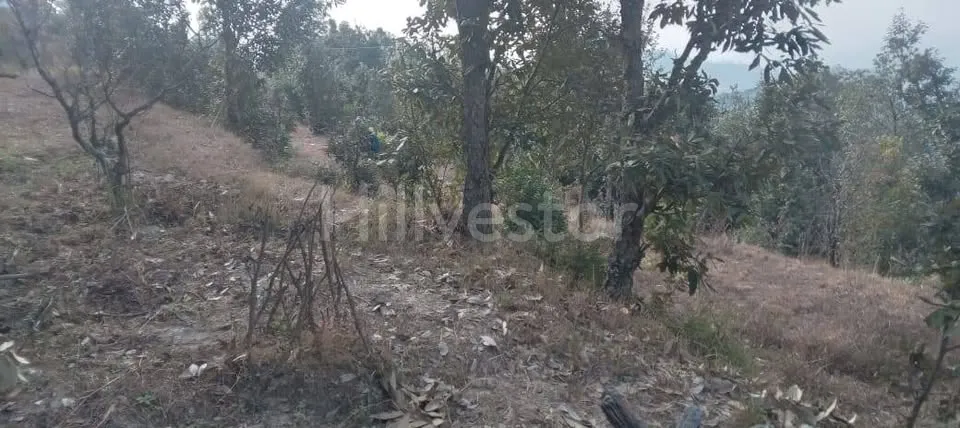 1,200 sq. yd. Residential Land near Seetla, Mukteshwar