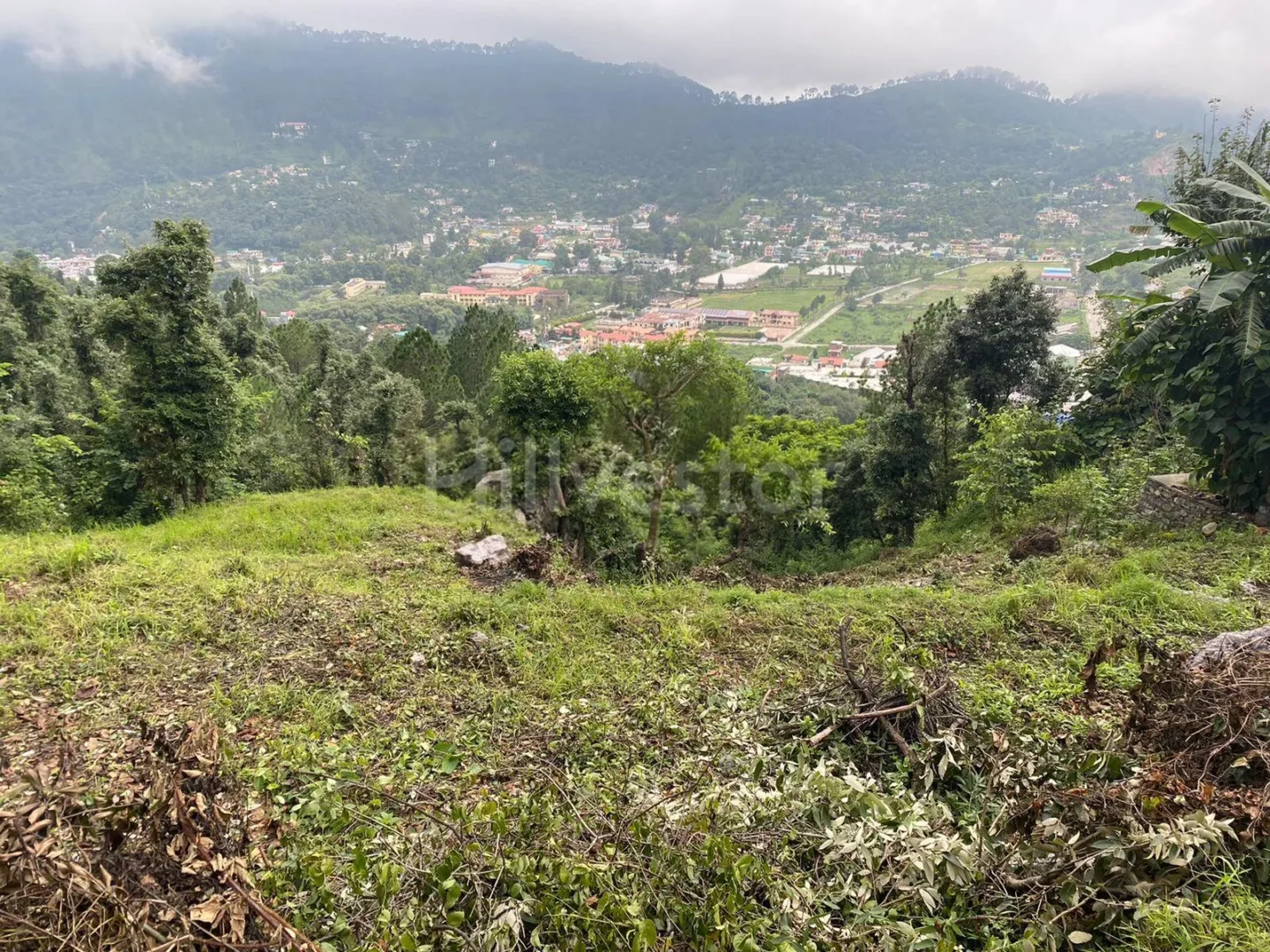 1,389 sq. yd. Residential Land near Son Gaon Village, Bhimtal
