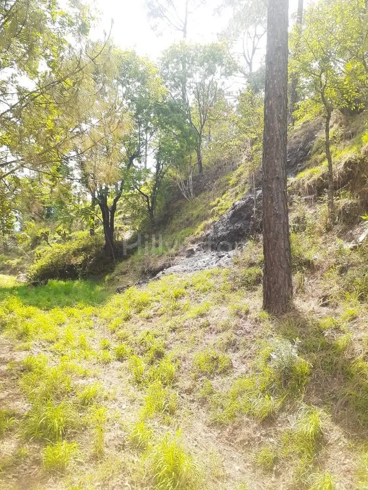 1,936 sq. yd. Residential Land in Lower Khalini, Khalini, Shimla