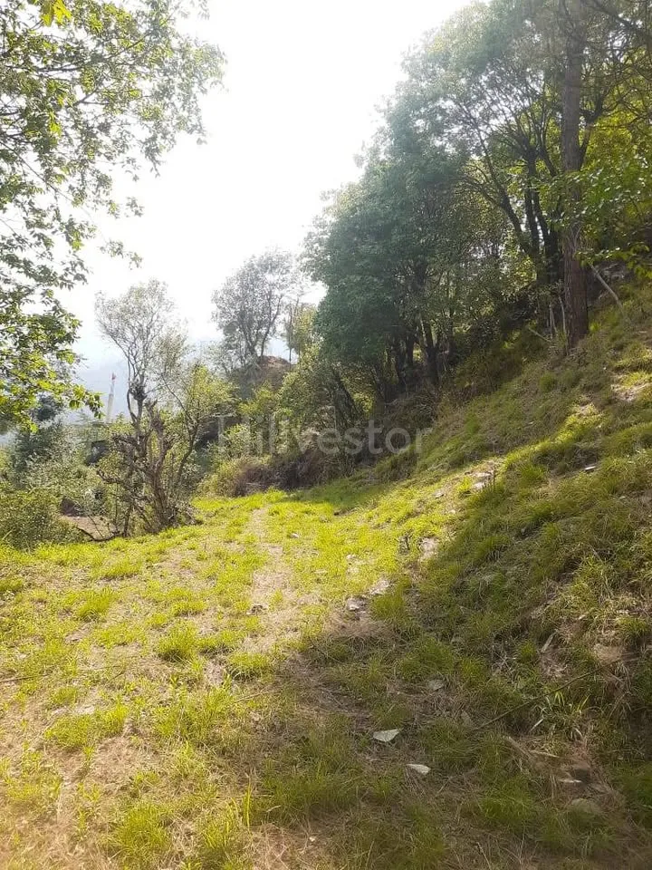 1,936 sq. yd. Residential Land in Lower Khalini, Khalini, Shimla