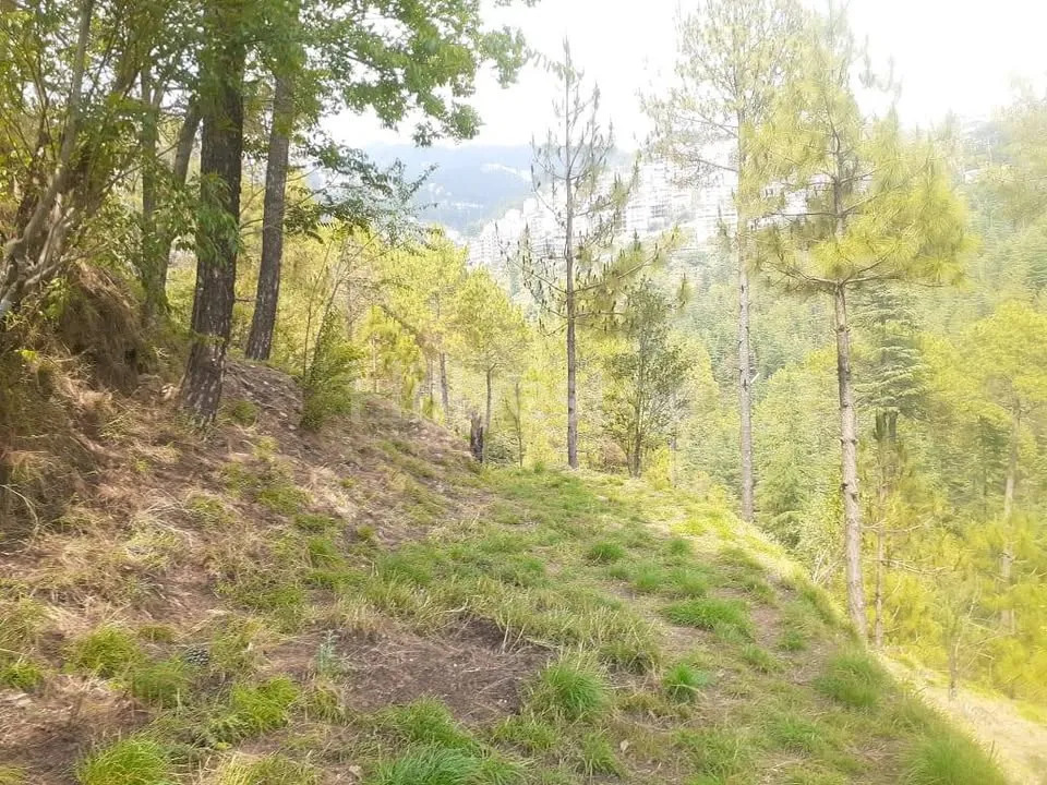 1,936 sq. yd. Residential Land in Lower Khalini, Khalini, Shimla