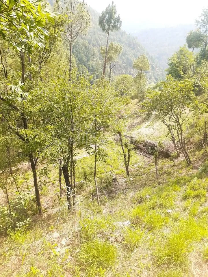 1,936 sq. yd. Residential Land in Lower Khalini, Khalini, Shimla