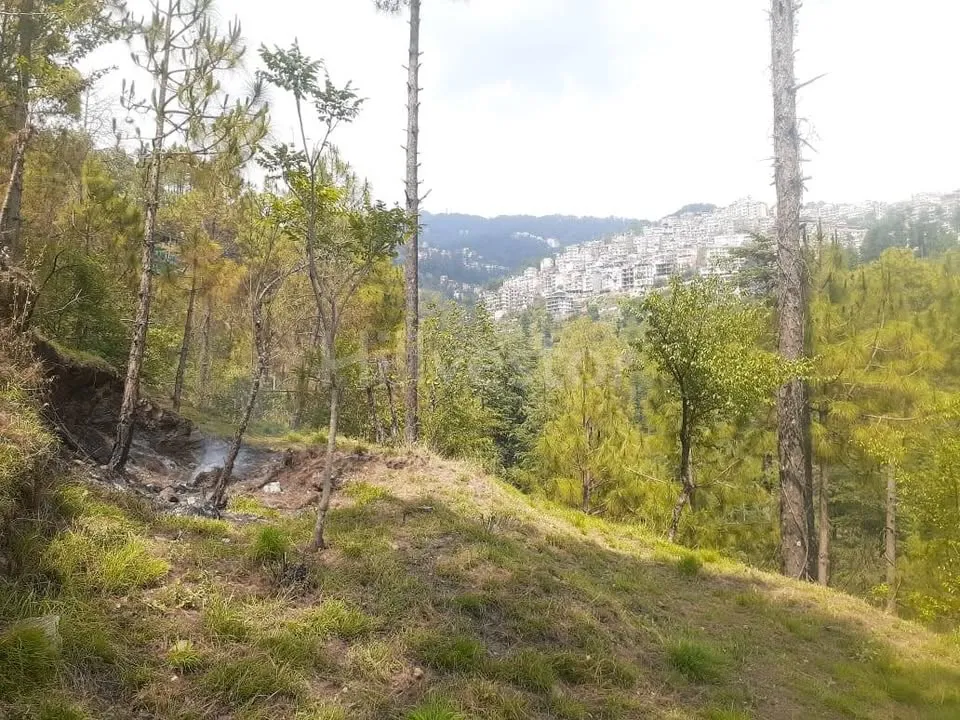 1,936 sq. yd. Residential Land in Lower Khalini, Khalini, Shimla