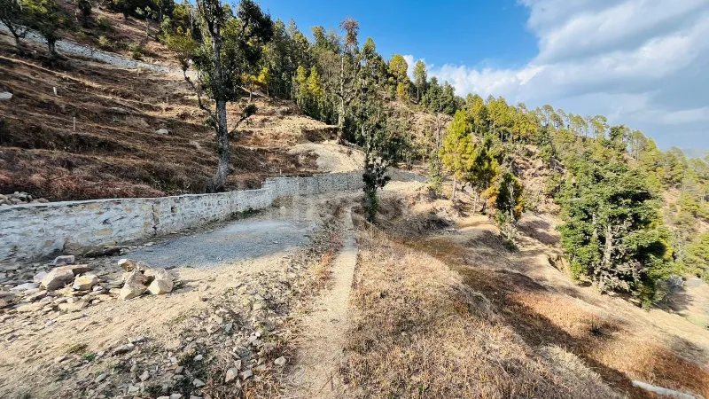 240 sq. yd. Residential Plot near Dhanachuli, Mukteshwar